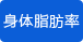 身體脂肪率測(cè)量 身體脂肪率測(cè)量